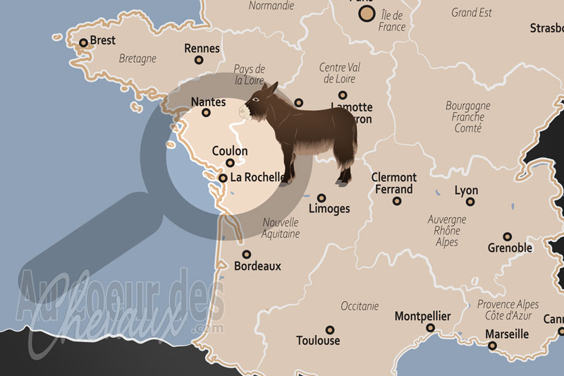 La localisation de Coulon en France