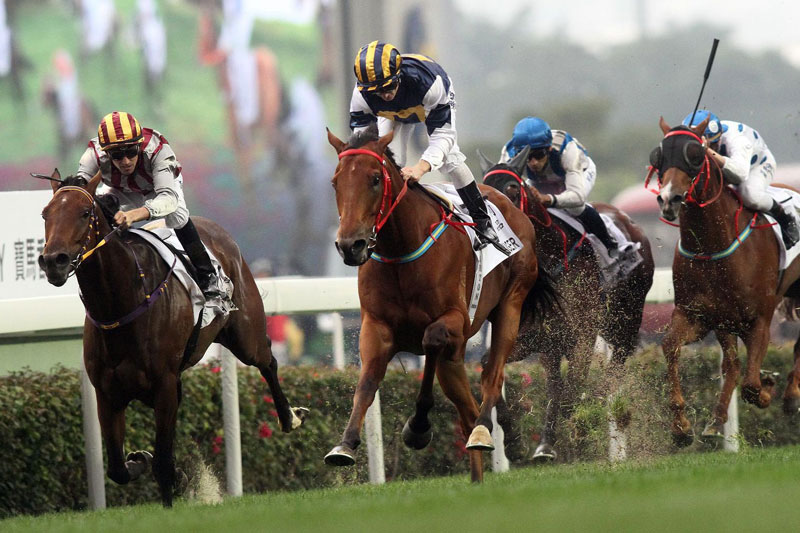 Des chevaux dans une course de galop