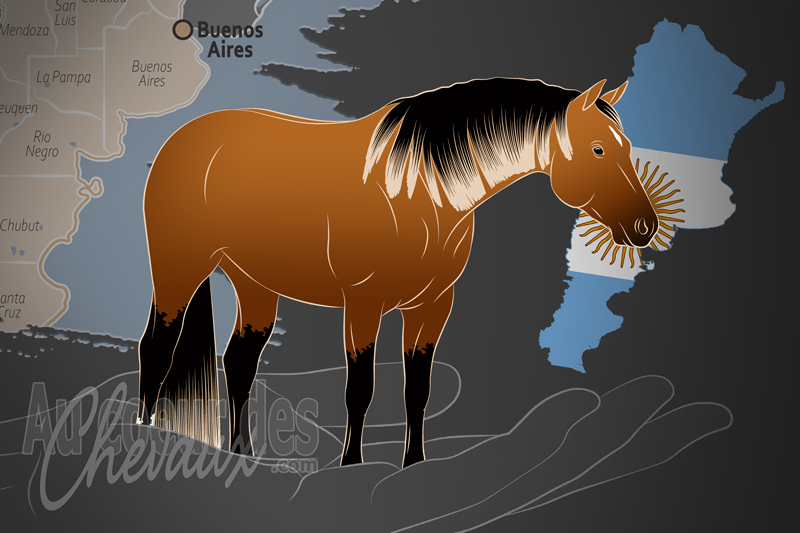 Les �leveurs de Quarter Horse Argentins, un organisme de gestion du quarter horse en argentine