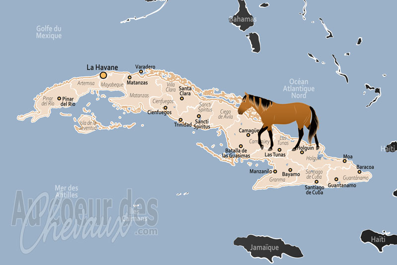 Cuba, entre tradition guajira et r�silience �conomique