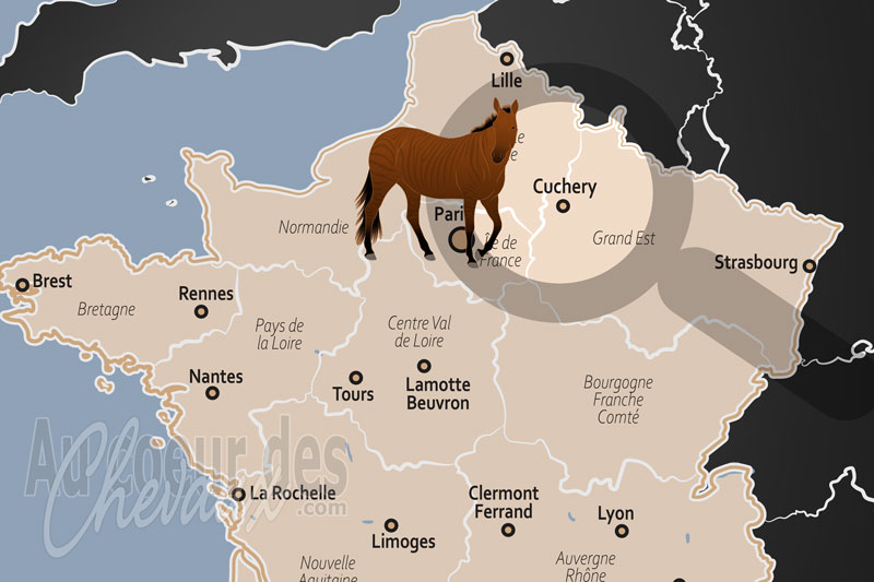 La localisation de Cuchery en France