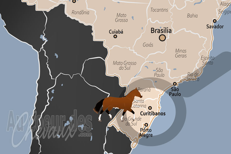 La localisation de Curitibanos au Br�sil