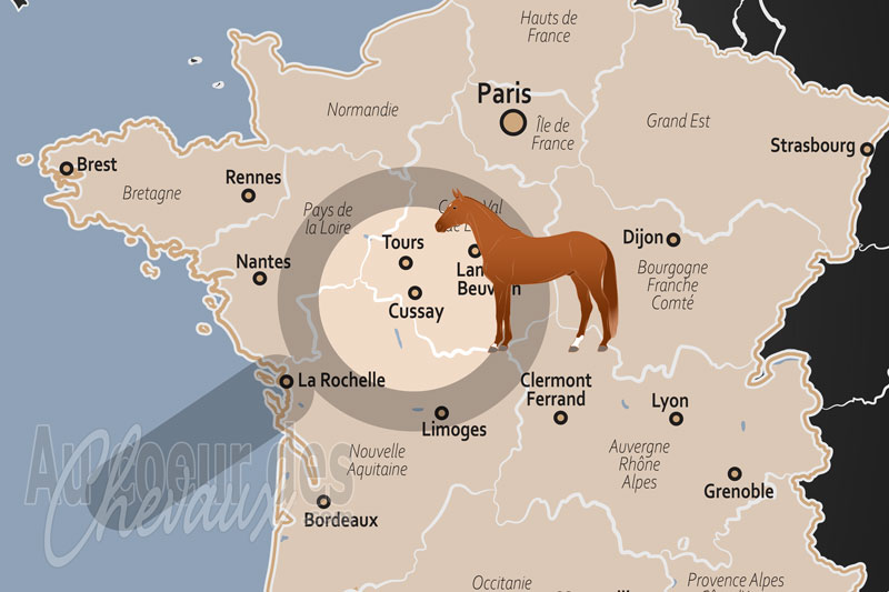 La localisation de Cussay en France