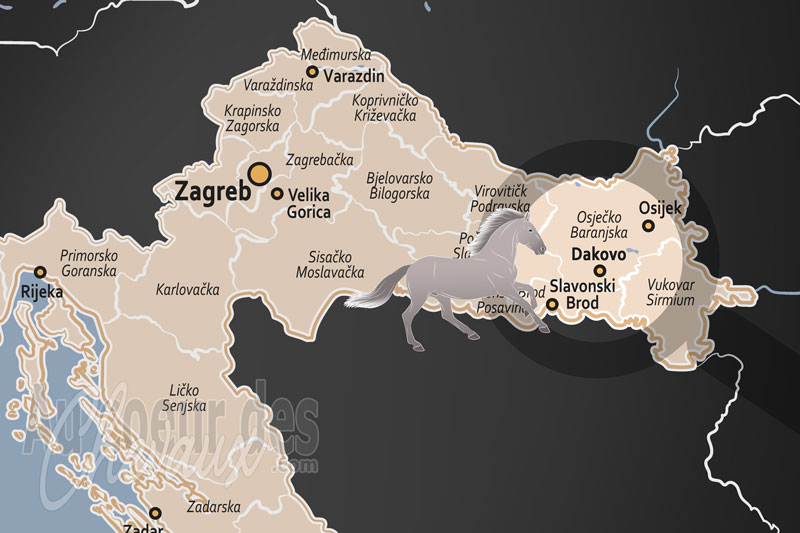 Dakovo, la capitale historique du lipizzan en slavonie