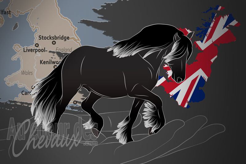 La Soci�t� des Poneys Dales, une organisation qui g�re le poney dales au royaume uni