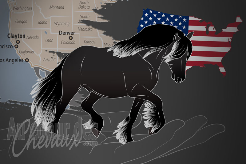 La Soci�t� des Poneys Dales d'Am�rique, une organisation qui g�re le poney dales aux �tats unis