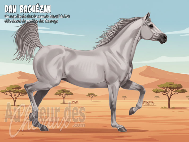Le Cheval Dan Bagu�zan, le cavalier des roches de l'a�r