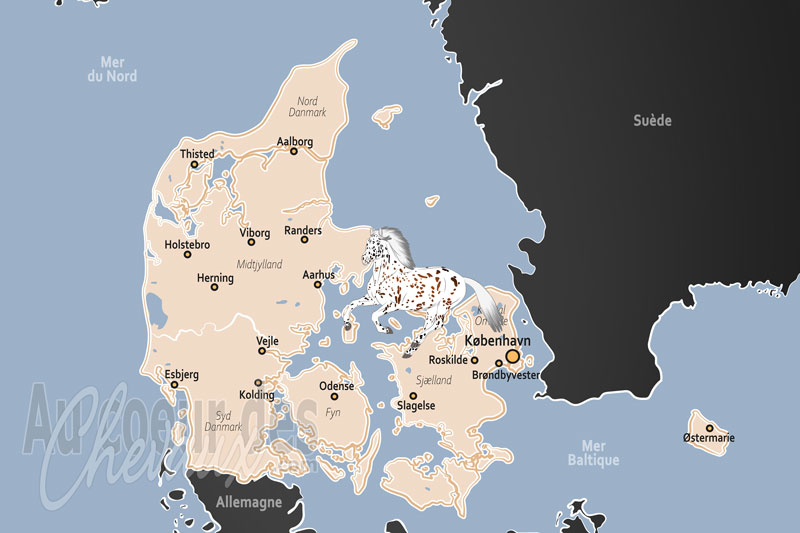Le Danemark, excellence �questre et tradition nordique