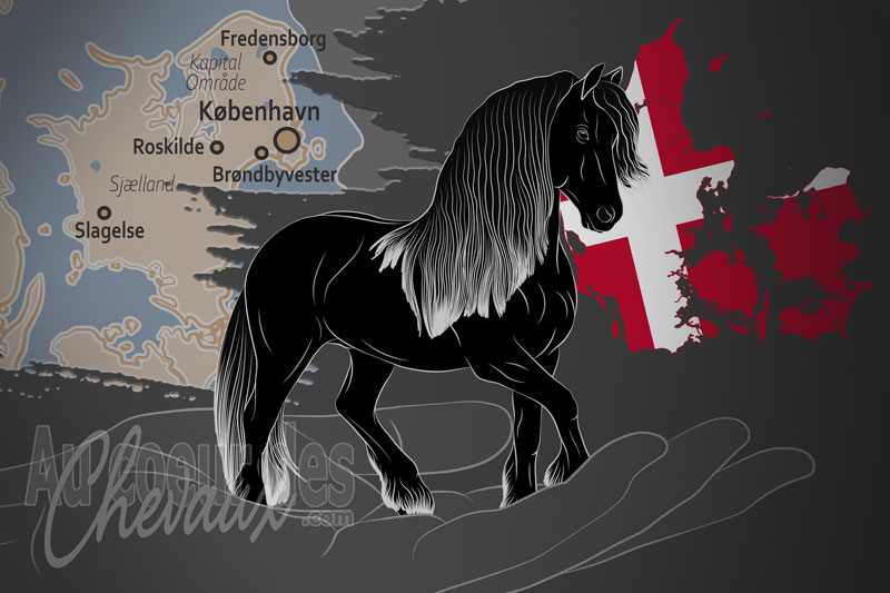 La F�d�ration Danoise du Cheval Frison, un organisme de gestion du frison au danemark