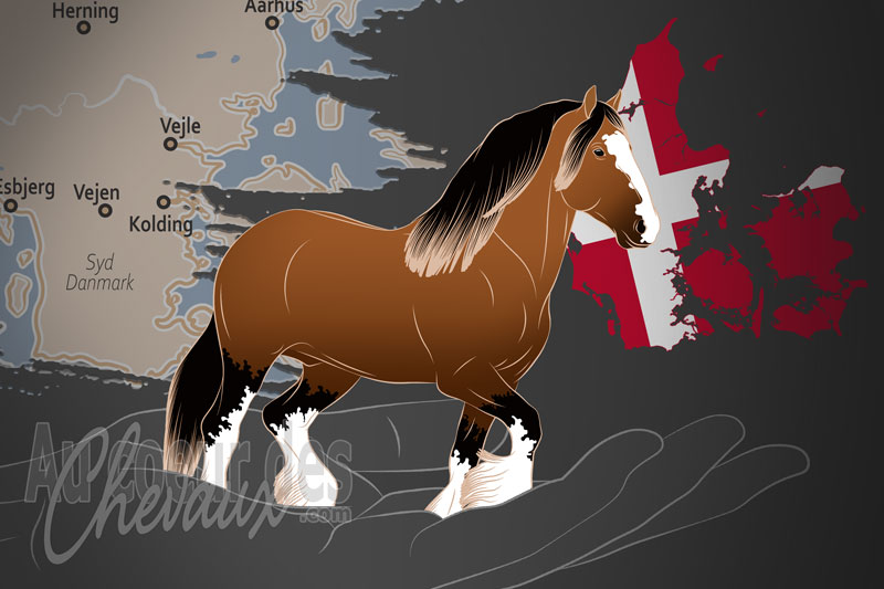 L'Association Nationale Danoise du Cheval Shire, une organisation qui g�re le cheval shire au danemark