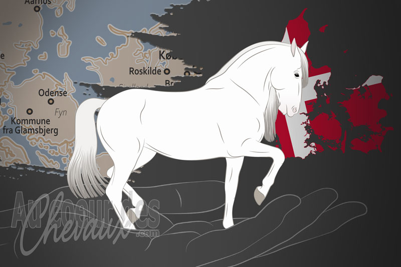 L'Association Danoise d'�levage du Pure Race Espagnole, une organisation qui g�re le cheval pure race espagnole au danemark