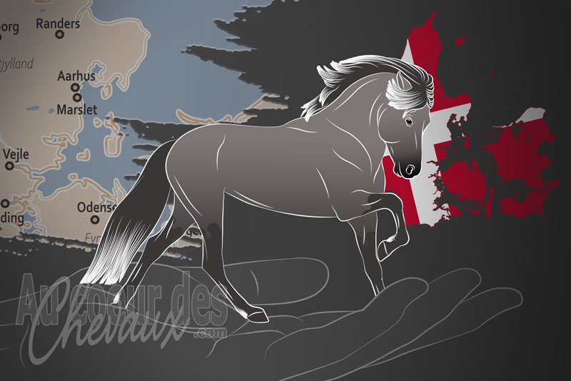 La Dansk Islandshesteforening un organisme de race au Danemark