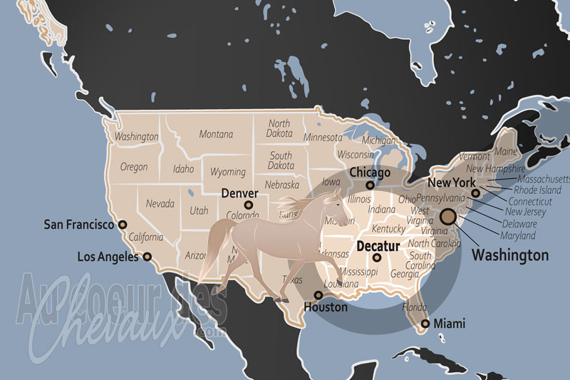 Decatur, un hub de l'�quitation de tradition et de performance dans la tennessee valley