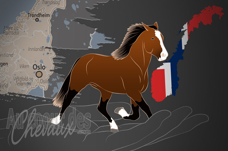 La Det Norske Travselskap un organisme de race en Norv�ge