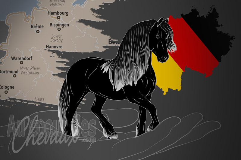 Les �leveurs de Chevaux Frisons Allemands, un organisme de gestion du frison en allemagne