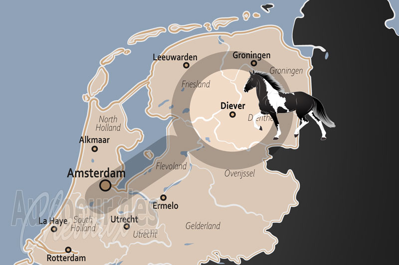 Diever, le carrefour de l'�quitation de nature au c?ur du drents-friese wold