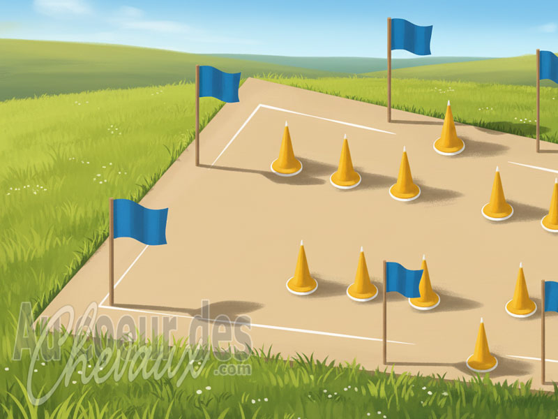 Le Dispositif du jardin pour le cheval, analyse de la gestion de l'espace clos, de la pr�cision et de la proprioception �quine