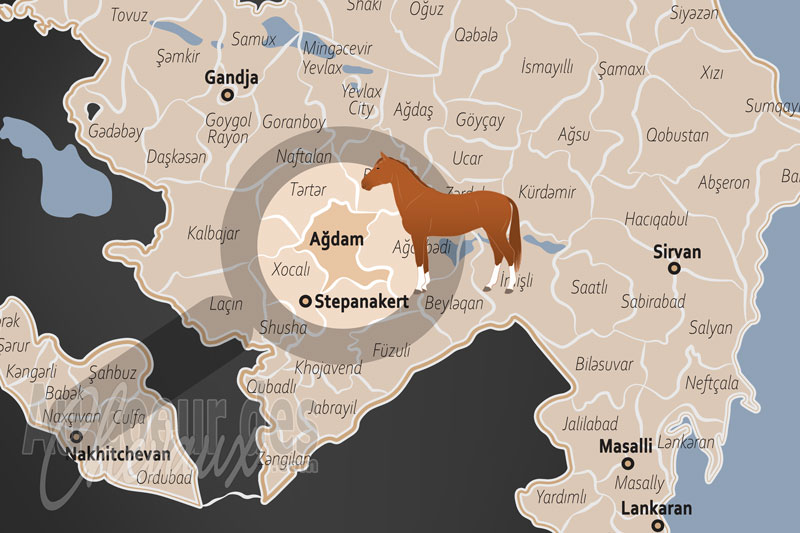 Le District d'Agdam, berceau historique et sanctuaire du cheval karabakh