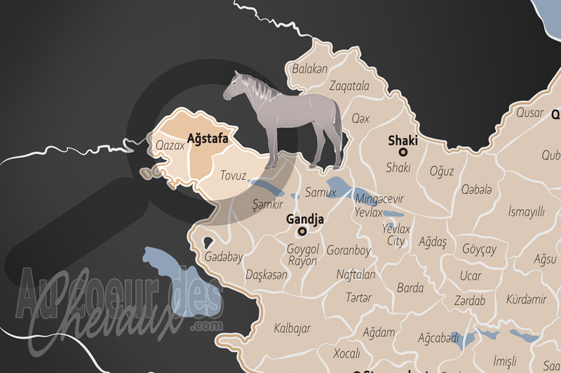 Le District d'Agstafa, fief du cheval dilbaz et sentinelle des traditions �questres de l'ouest