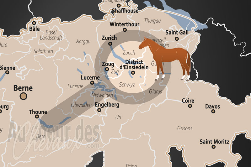 La localisation du District d'Einsiedeln en Suisse