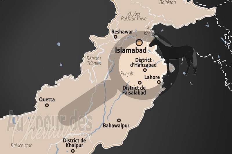 Le District d'Hafizabad, prestige �questre et force de travail au c?ur des plaines alluviales
