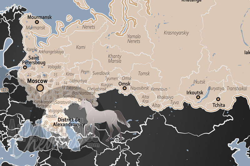 La localisation du District de Alexandrovsky en Russie