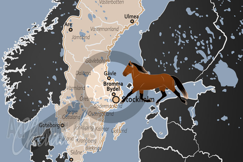 La localisation du District de Bromma en Su�de