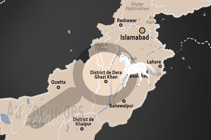 Le District de Dera Ghazi Khan, entre traditions tribales et excellence du nezabazi