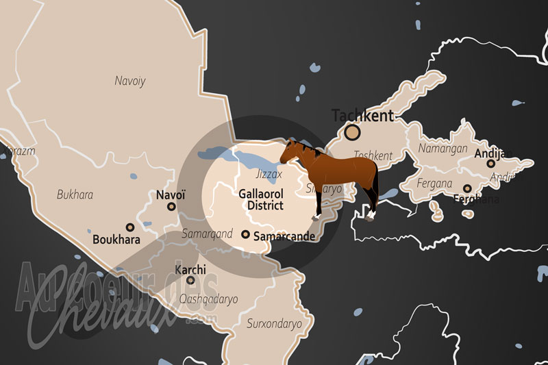Le District de Gallaorol, terre de transhumance et bastion du cheval karabair