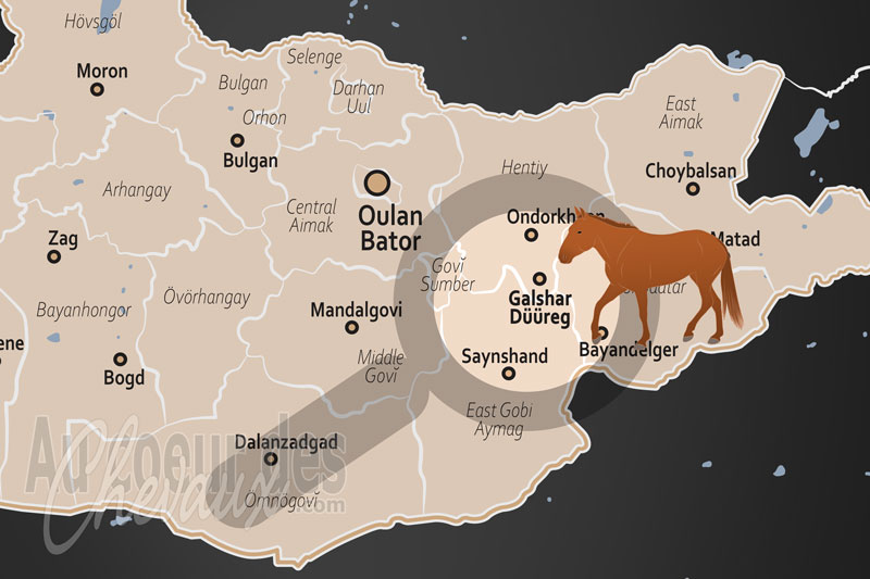 Le District de Galshar, la terre sacr�e des chevaux rapides et de la s�lection nomade