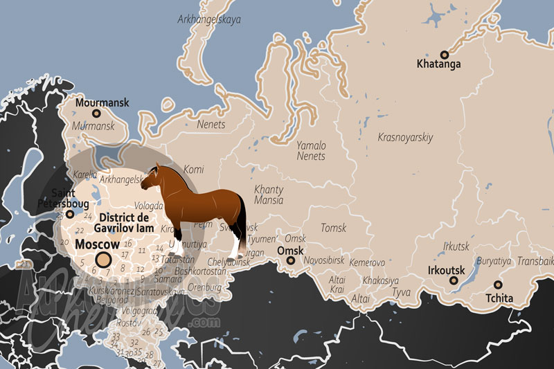 La localisation du District de Gavrilov Iam en Russie