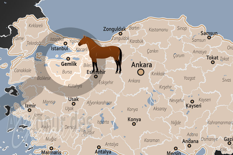 La localisation du District de Gemlik en Turquie