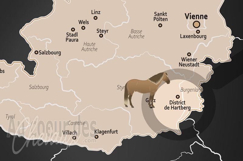 La localisation du District de Hartberg en Autriche