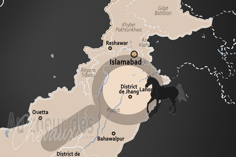 Le District de Jhang, terre de l�gendes et sanctuaire du cheval de race