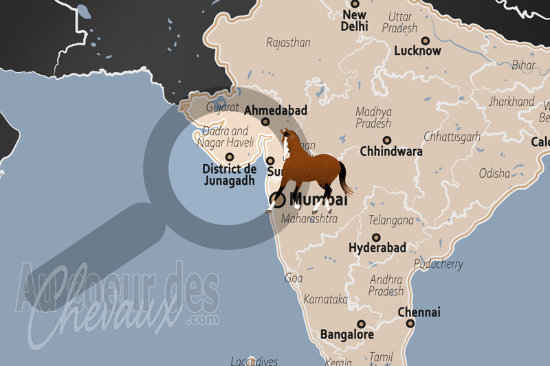 La localisation du District de Junagadh en Inde