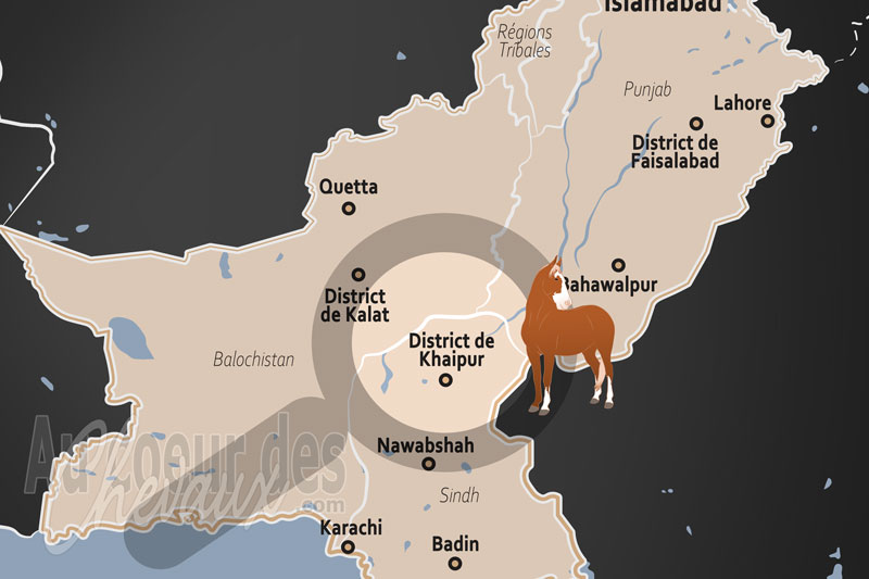 Le District de Kalat, sanctuaire de la race hirzai et h�ritage des khans