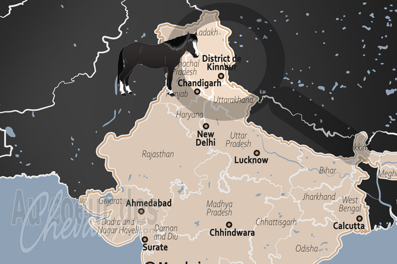 La localisation du District de Kinnaur en Inde
