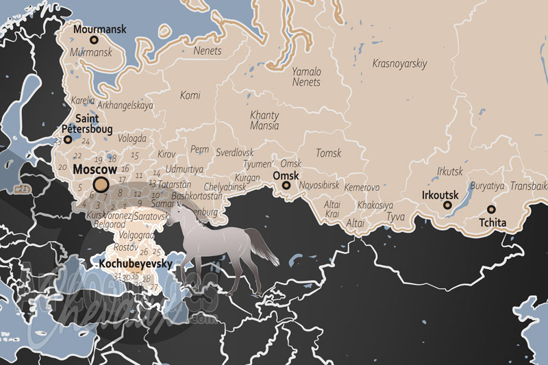 La localisation du District de Kochubeyevsky en Russie