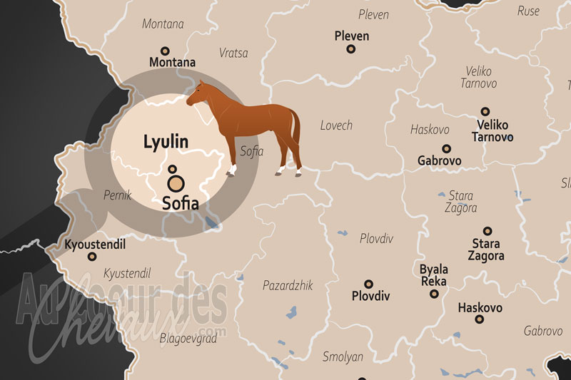 Le District de Lyulin, entre urbanit� et traditions �questres de p�riph�rie