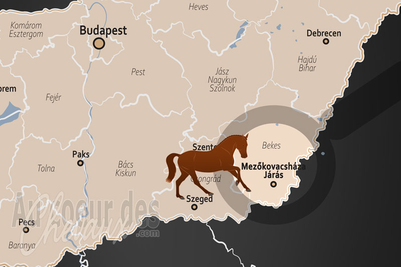 La localisation du District de Mezokovacshaza en Hongrie