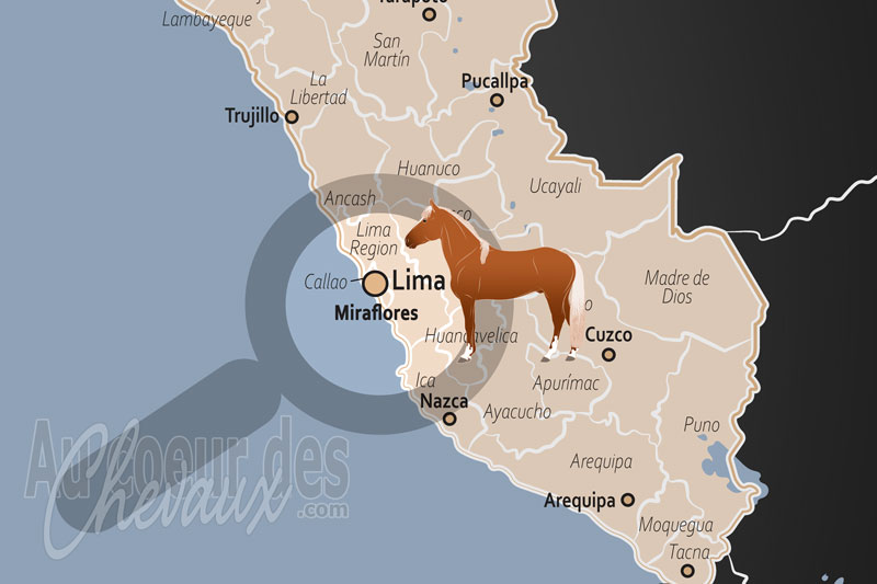 La localisation dans le pays du District de Miraflores au P�rou