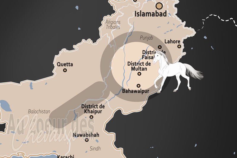 Le District de Multan, carrefour de l'excellence �questre et du sport traditionnel