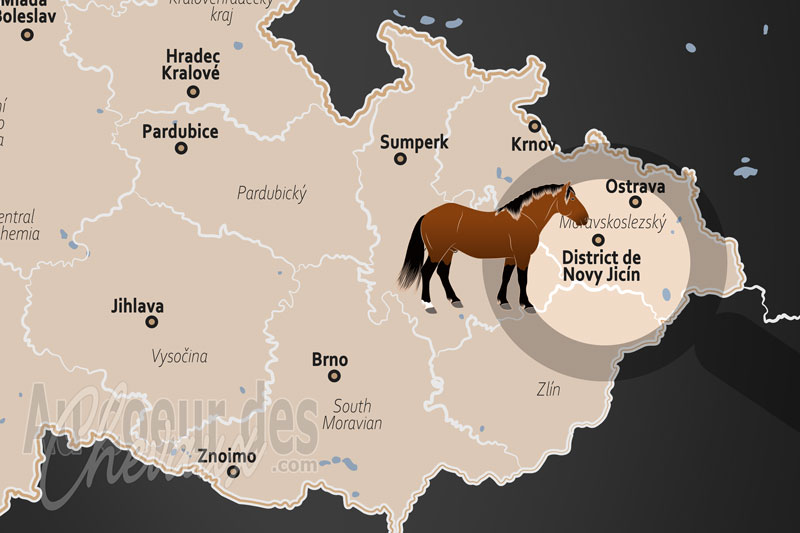 La localisation du District de Novy Jic�n en Tch�quie