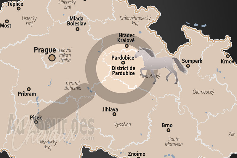 La localisation du District de Pardubice en Tch�quie