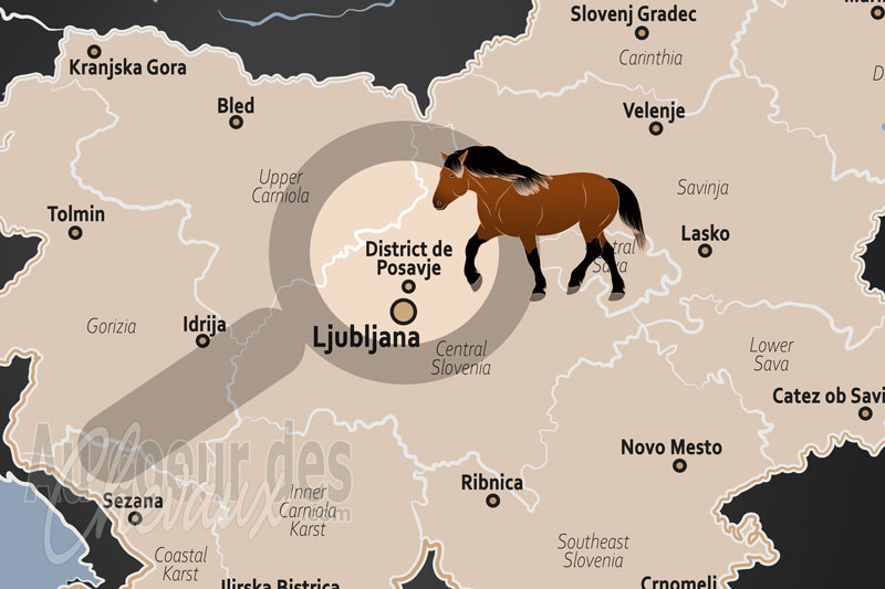 La localisation du District de Posavje en Slov�nie