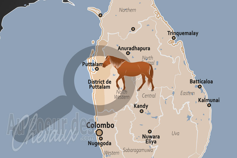 La localisation du District de Puttalam au Sri Lanka