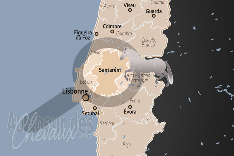 La localisation du District de Santar�m au Portugal