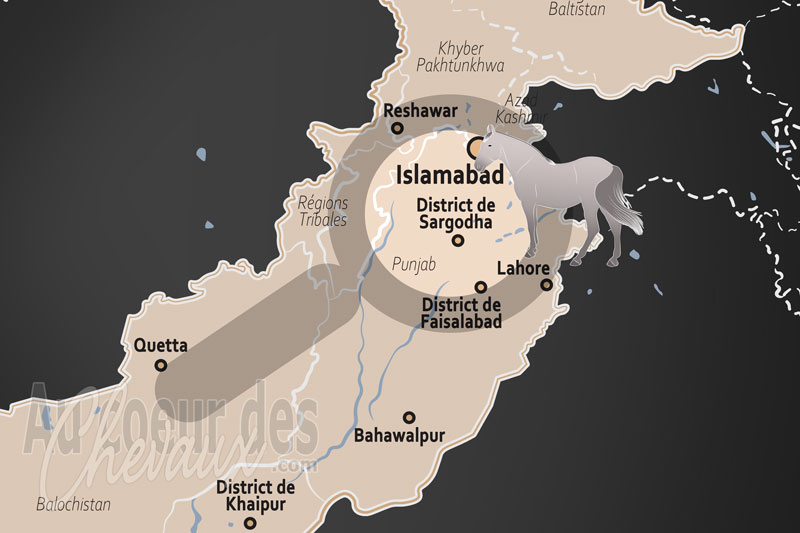 Le District de Sargodha, terre des cavaliers et de l'�levage d'�lite