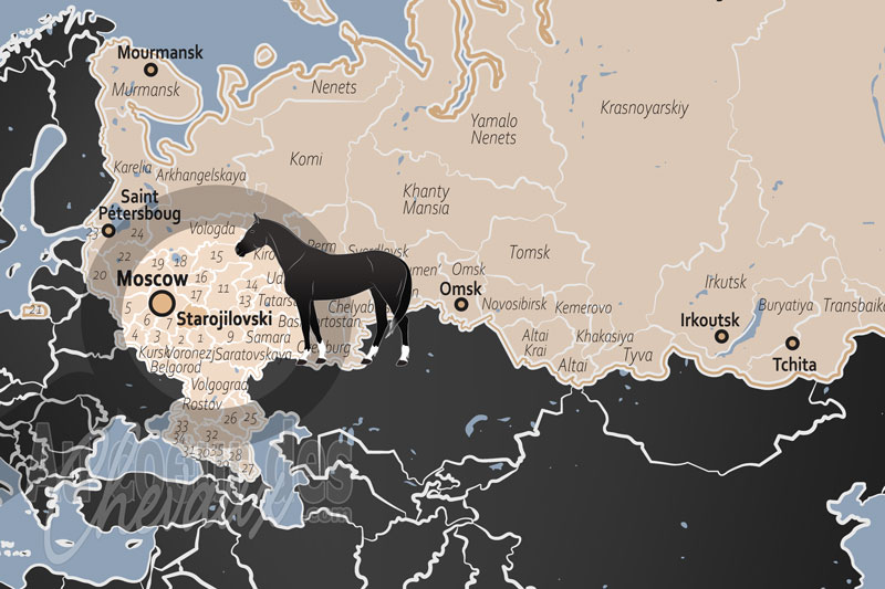 Le District de Starojilovski, berceau de la renaissance du cheval de selle russe