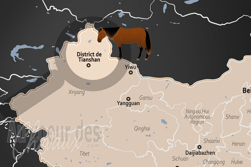 La localisation du District de Tianshan en Chine
